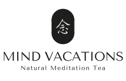 Mind Vacations - Firma Elevator Lüneburg